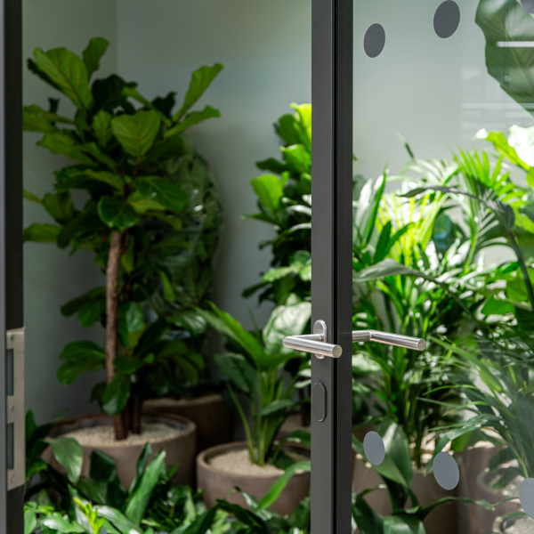 Streamlining Specification