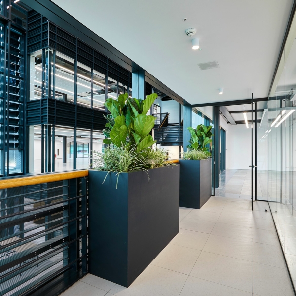 EPIC UK Radii AG LR 15