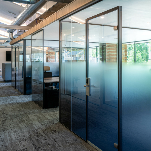 Focus Dursley Planet 2023 LR 1