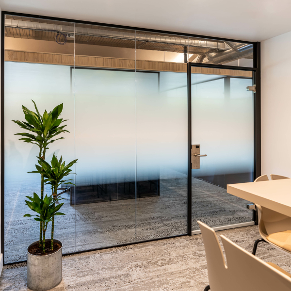 Focus Dursley Planet 2023 LR 36