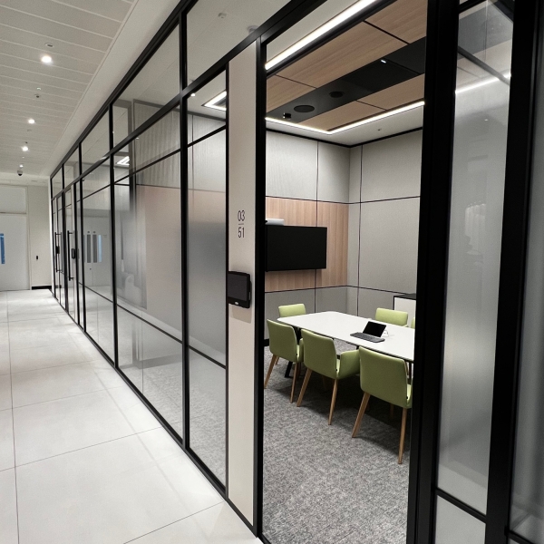 Leading Financial Services Firm Radii Non Pro LR 13