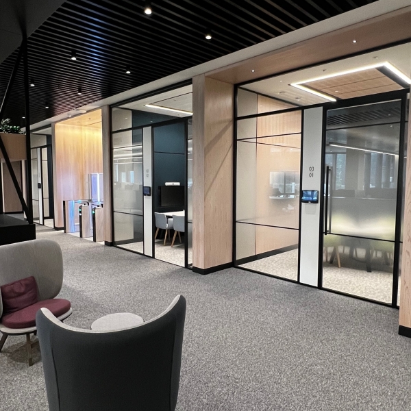 Leading Financial Services Firm Radii Non Pro LR 14