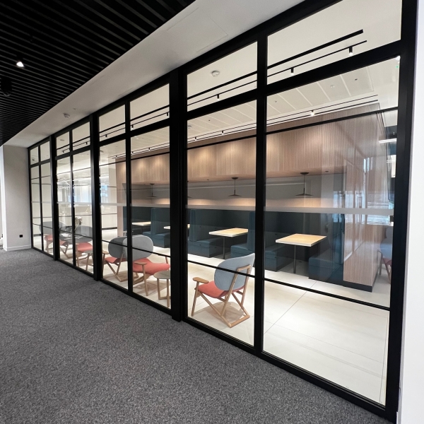 Leading Financial Services Firm Radii Non Pro LR 16