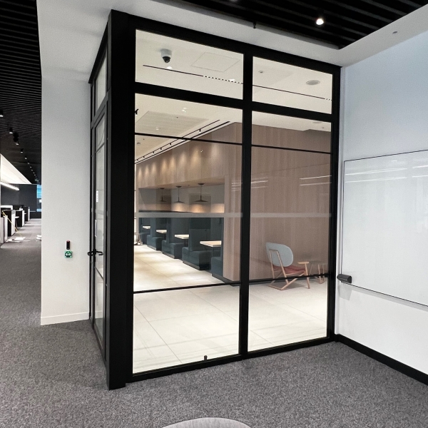 Leading Financial Services Firm Radii Non Pro LR 17