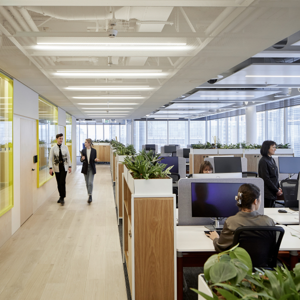 Kingfisher Radii LR 16