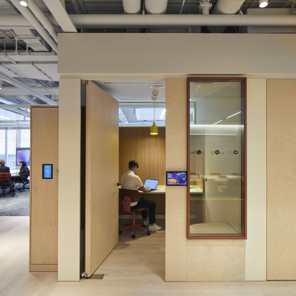 Kingfisher Radii LR 21