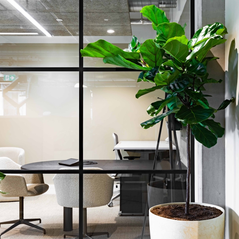 Radii Planet Group Launches Sustainability & Net Zero Carbon Roadmap