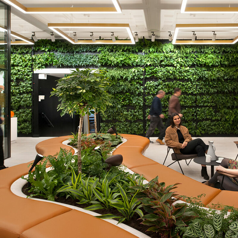 Biophilic Design and Wellbeing