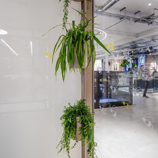 Glazing options including switchable privacy glass.