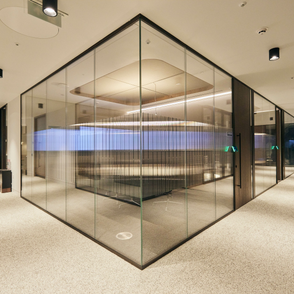 Project Apollo Radii 2023 Low Res 256