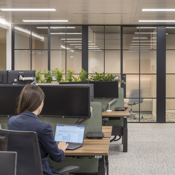 Stonehage Fleming Radii 94